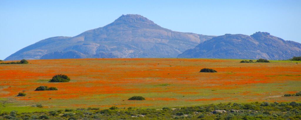 Why You Should Plan Your Holiday in the Northern Cape